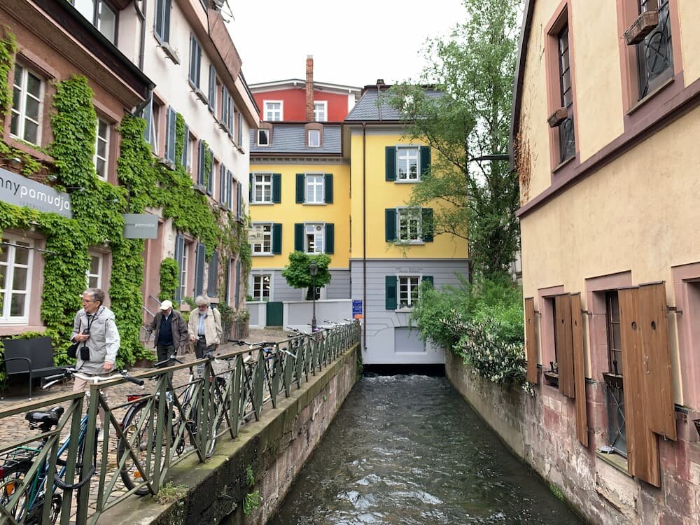 Livestream und in Freiburg: Deutscher Psoriasis Tag 2025