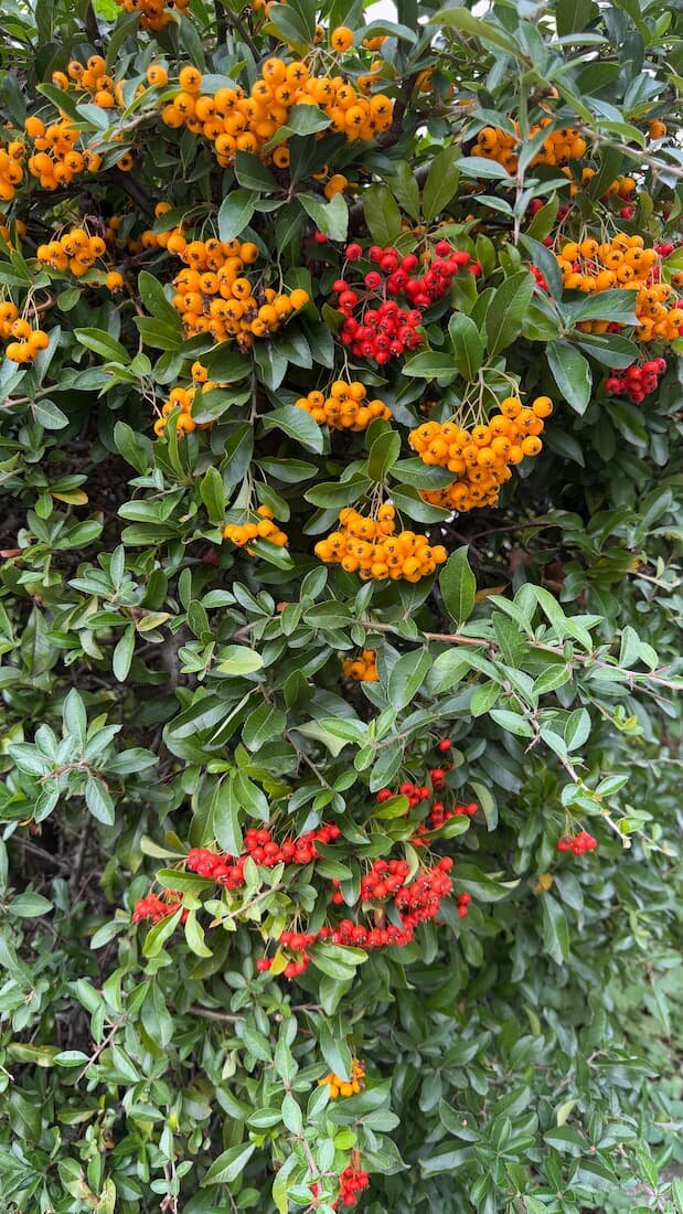 Online-Seminar: Gesund durch den Herbst – Tipps zum Jahresende