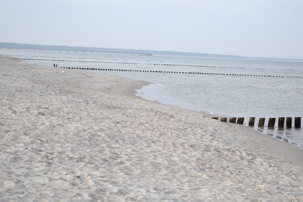 "Nicht den Kopf in den Sand stecken"