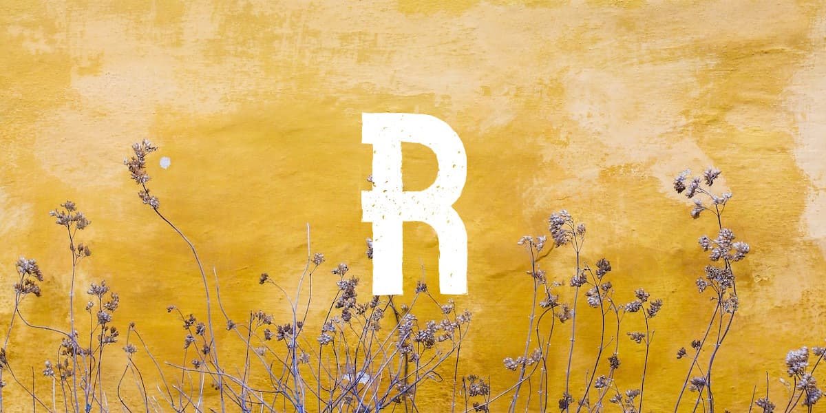Mehr Informationen zu "R"