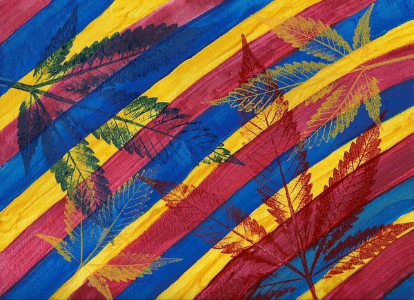 Mit Cannabis gegen die Schmerzen – ein Erfahrungsbericht