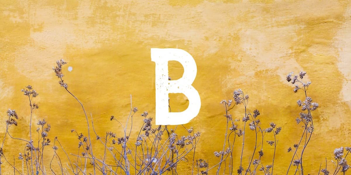 Mehr Informationen zu "B"