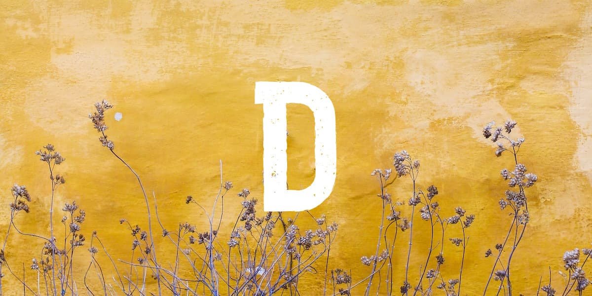 Mehr Informationen zu "D"