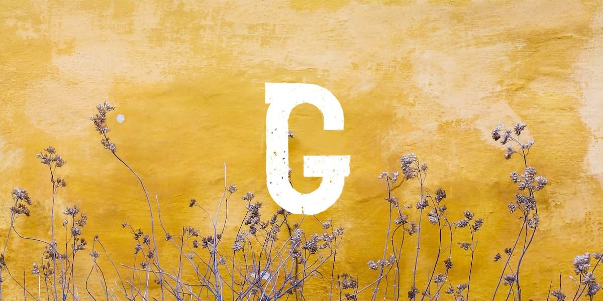 Mehr Informationen zu "G"