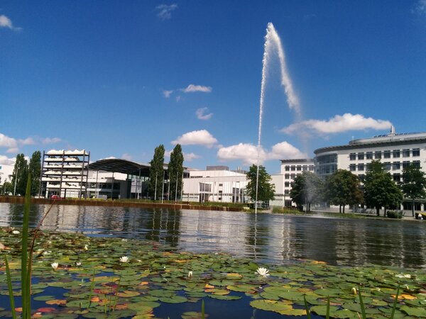 Neues und Bewährtes zur Psoriasis im Jahr 2016