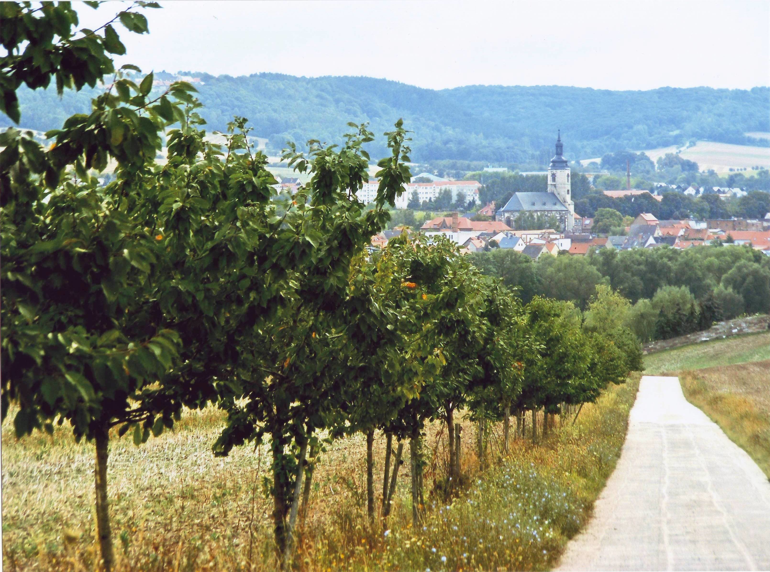 Meine kleine Heimatstadt