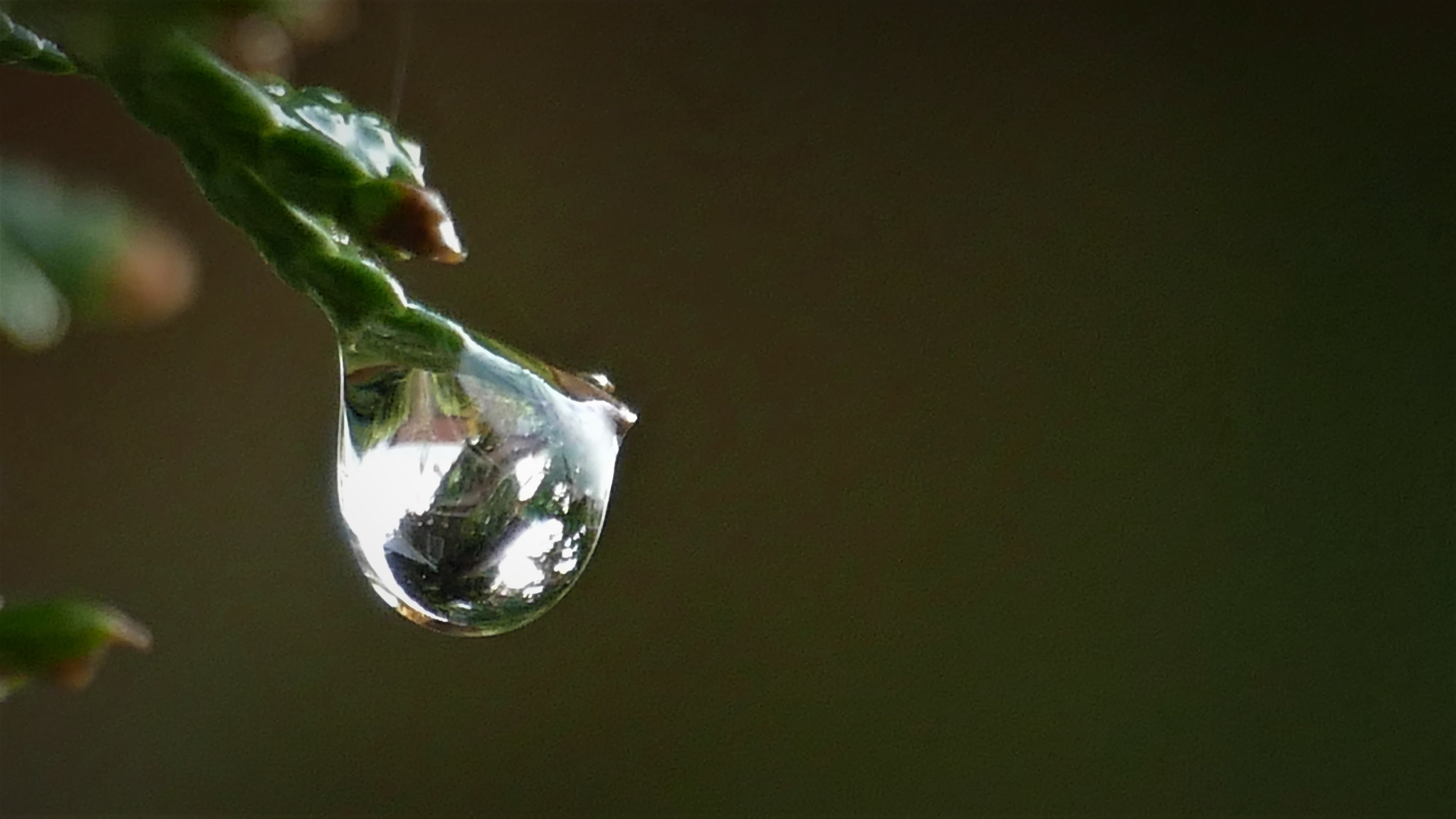 Nach dem Regen