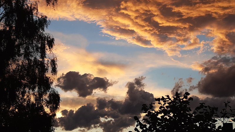 Mehr Informationen zu "Wolkenspiel"