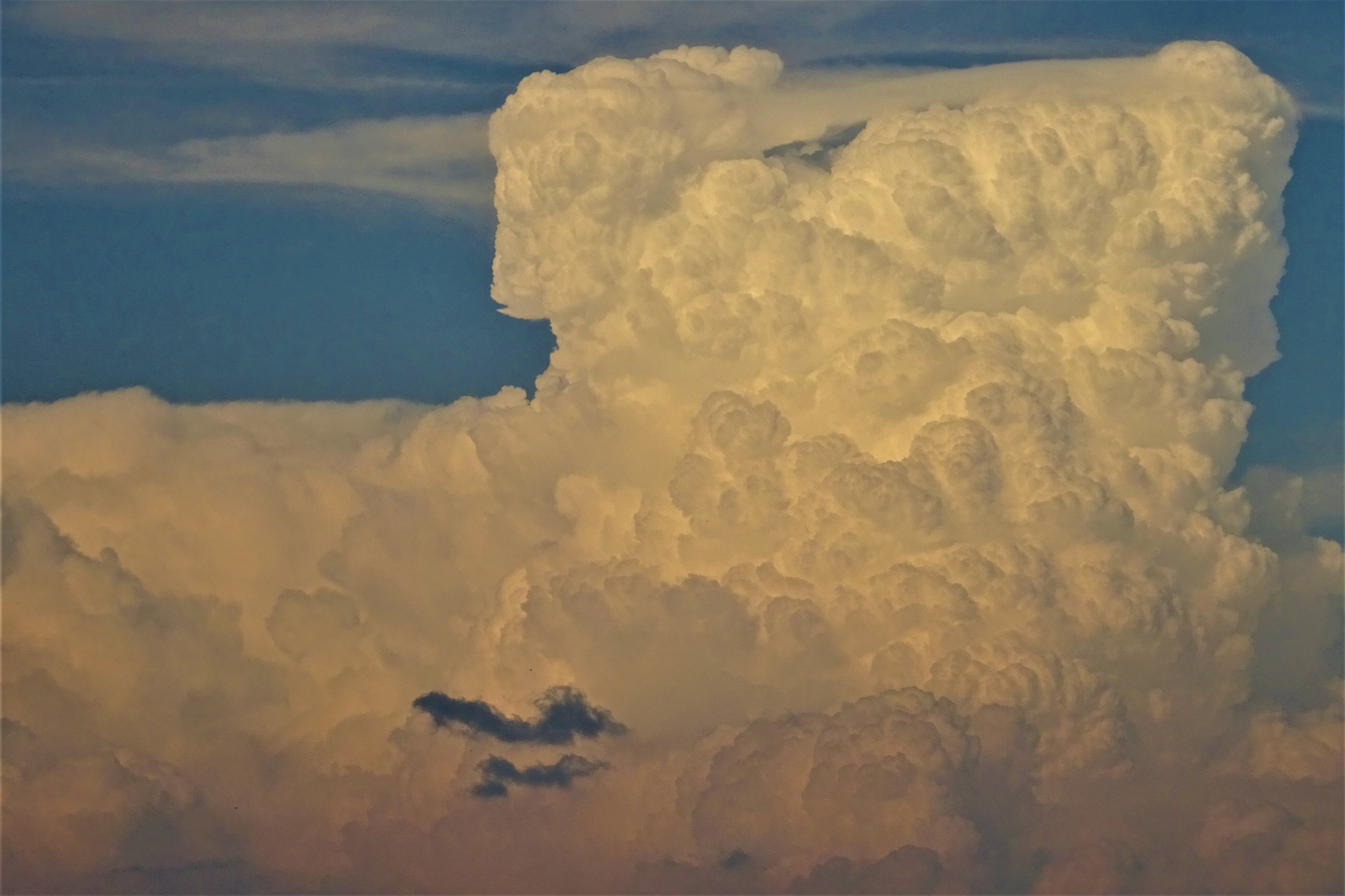 Wolkenhund?