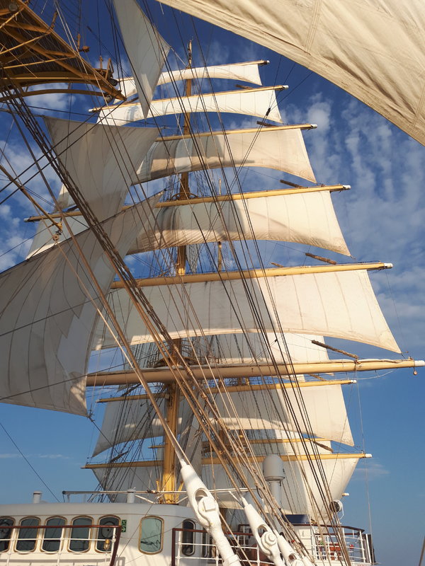 Mehr Informationen zu "Wind in den Segeln"