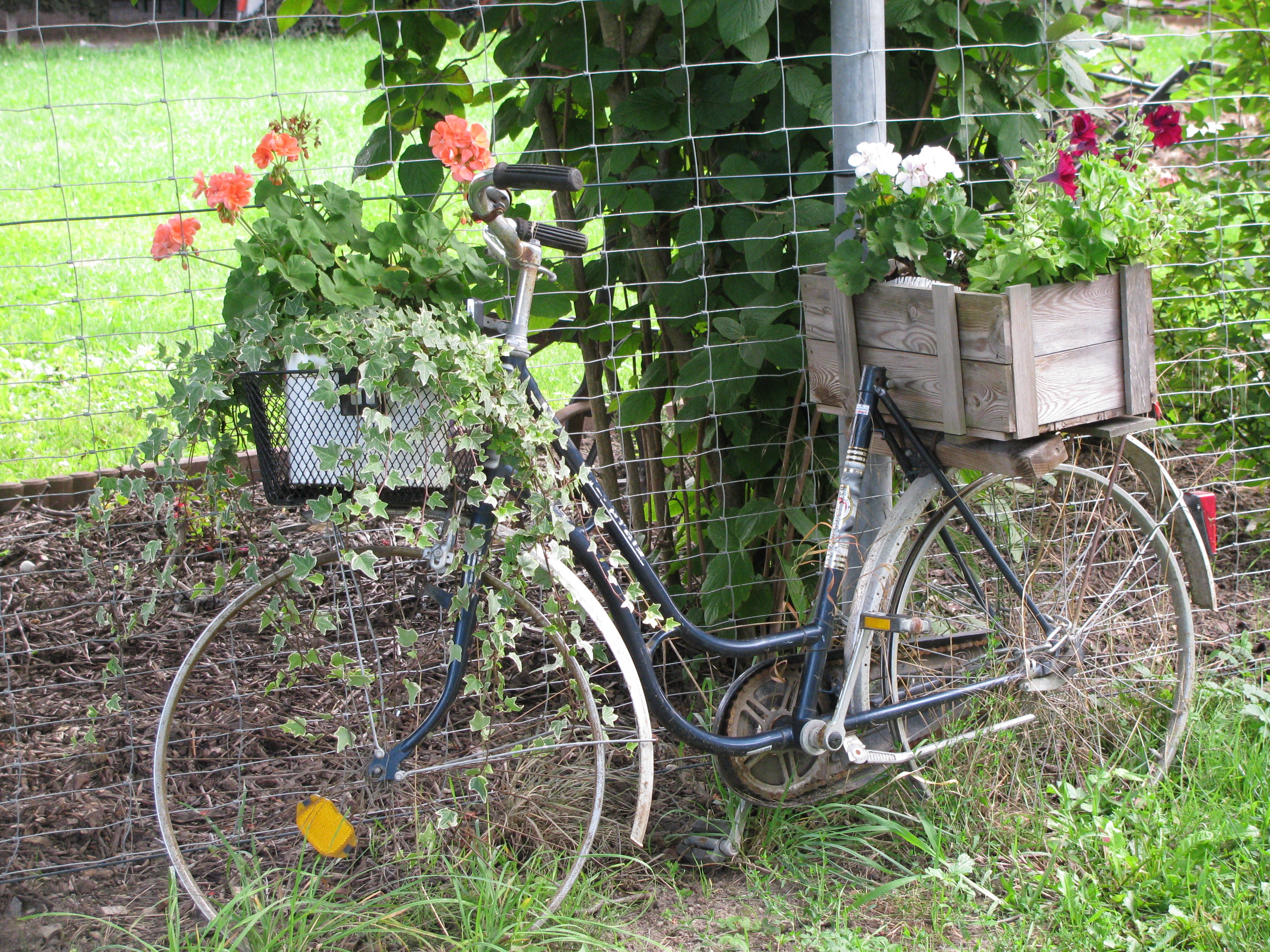 Blumenfahrrad