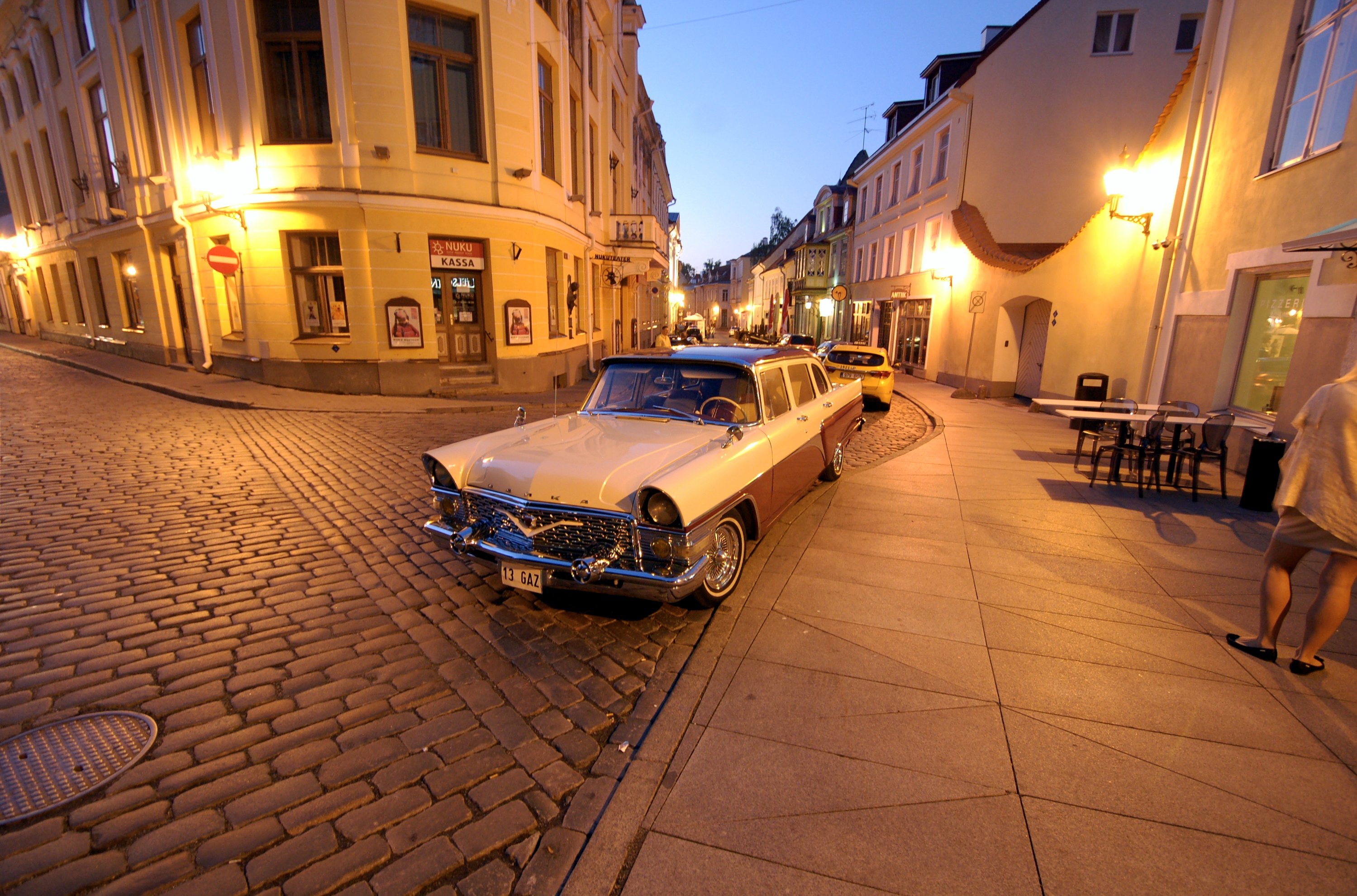 Möve