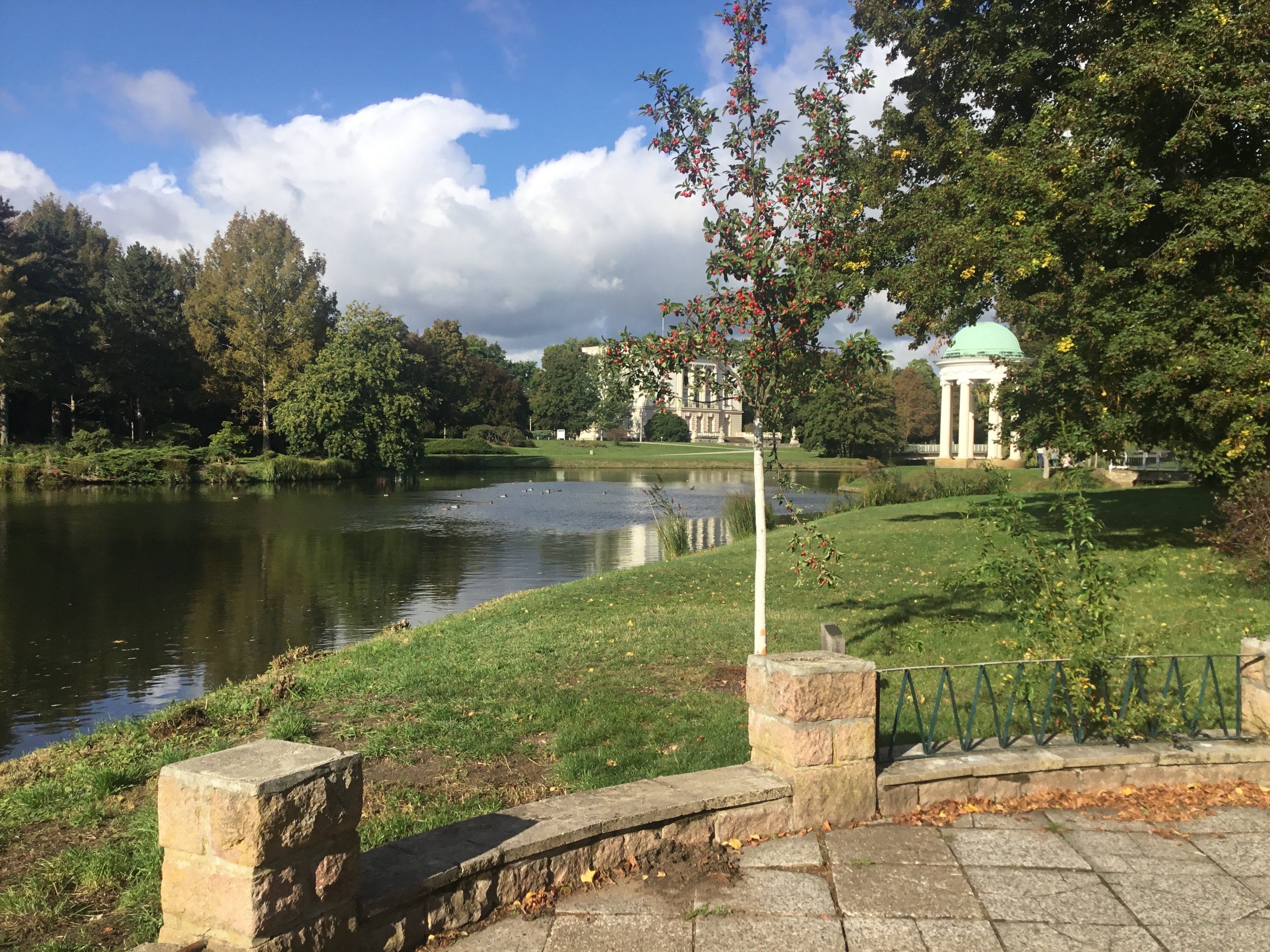 Herbst im Park