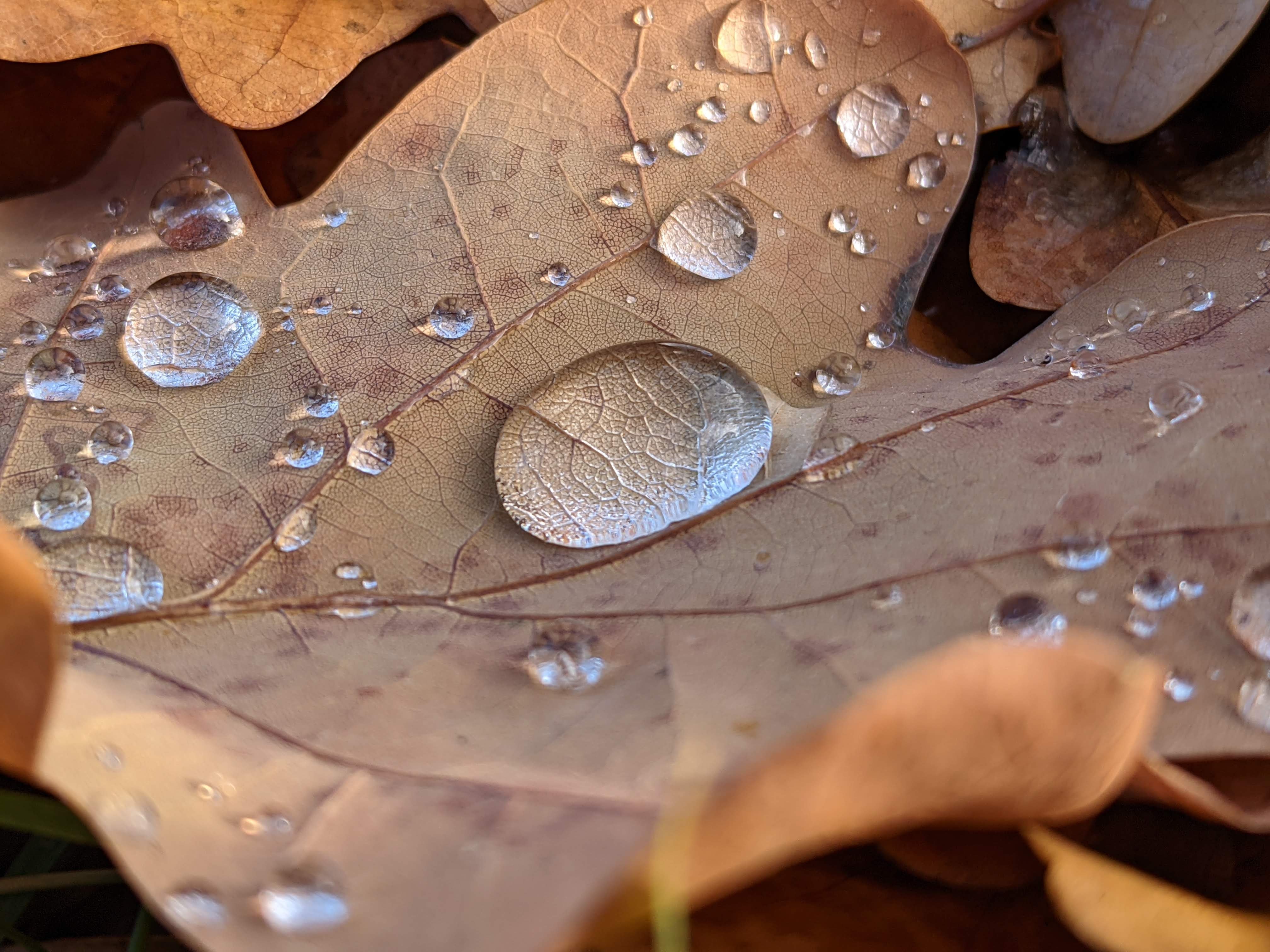 Der Herbst kommt... ;)