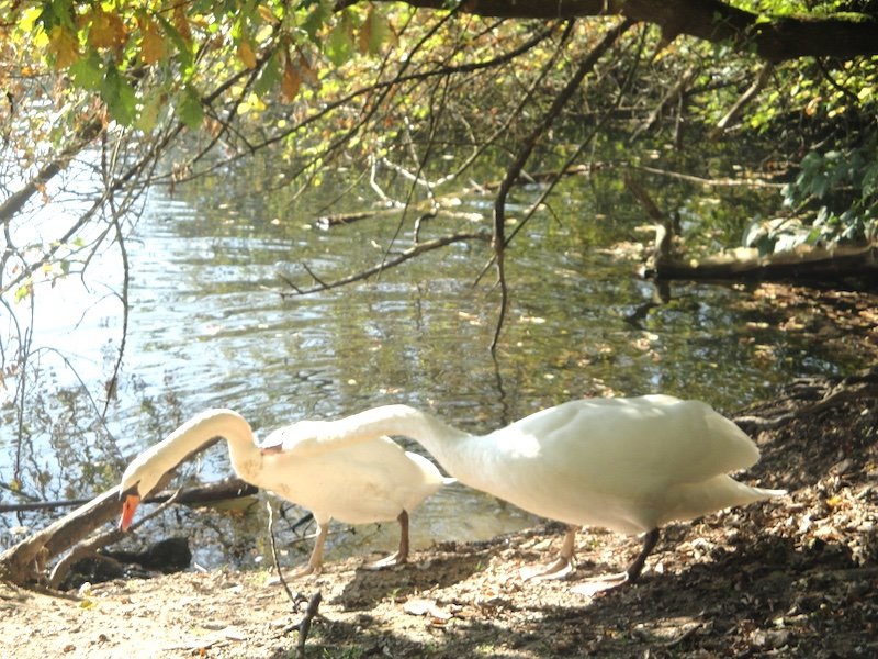 Frühlingsgefühle am Tönebönsee