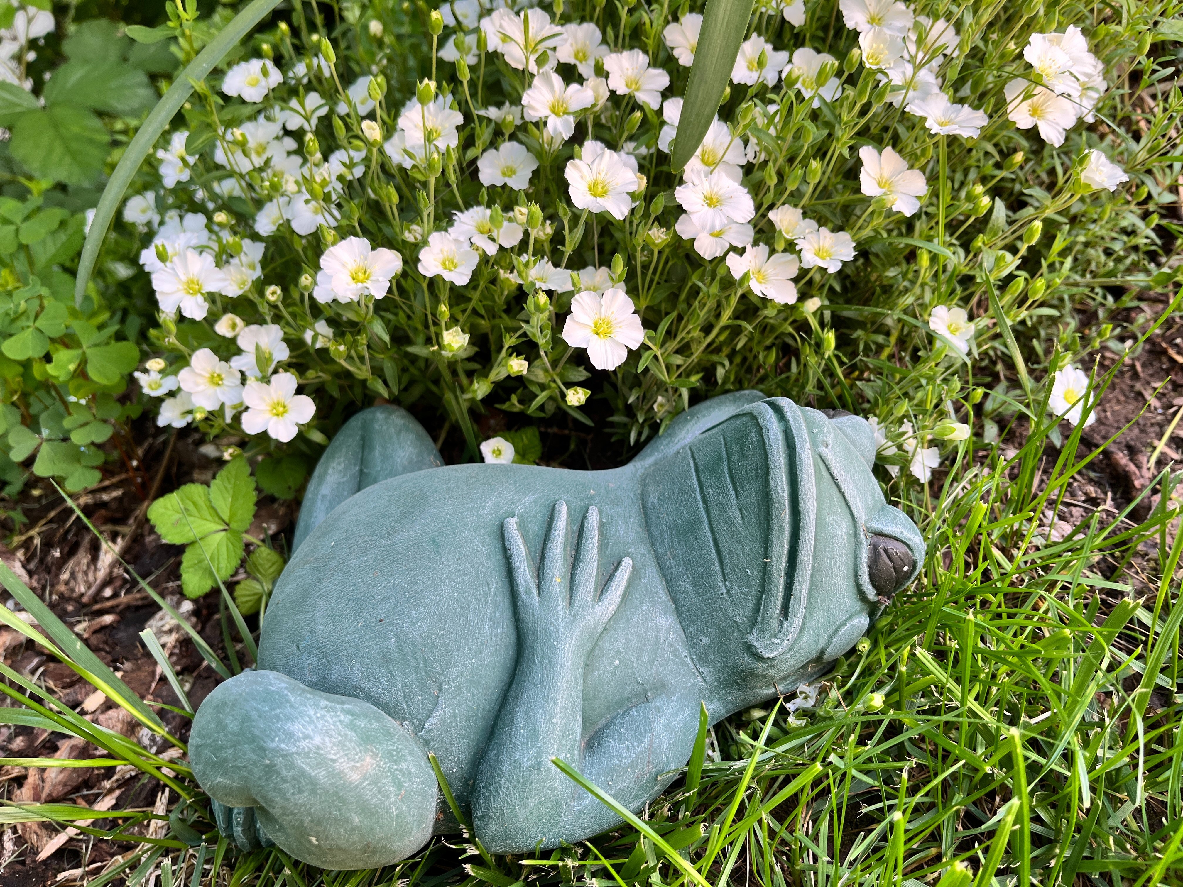 Frosch