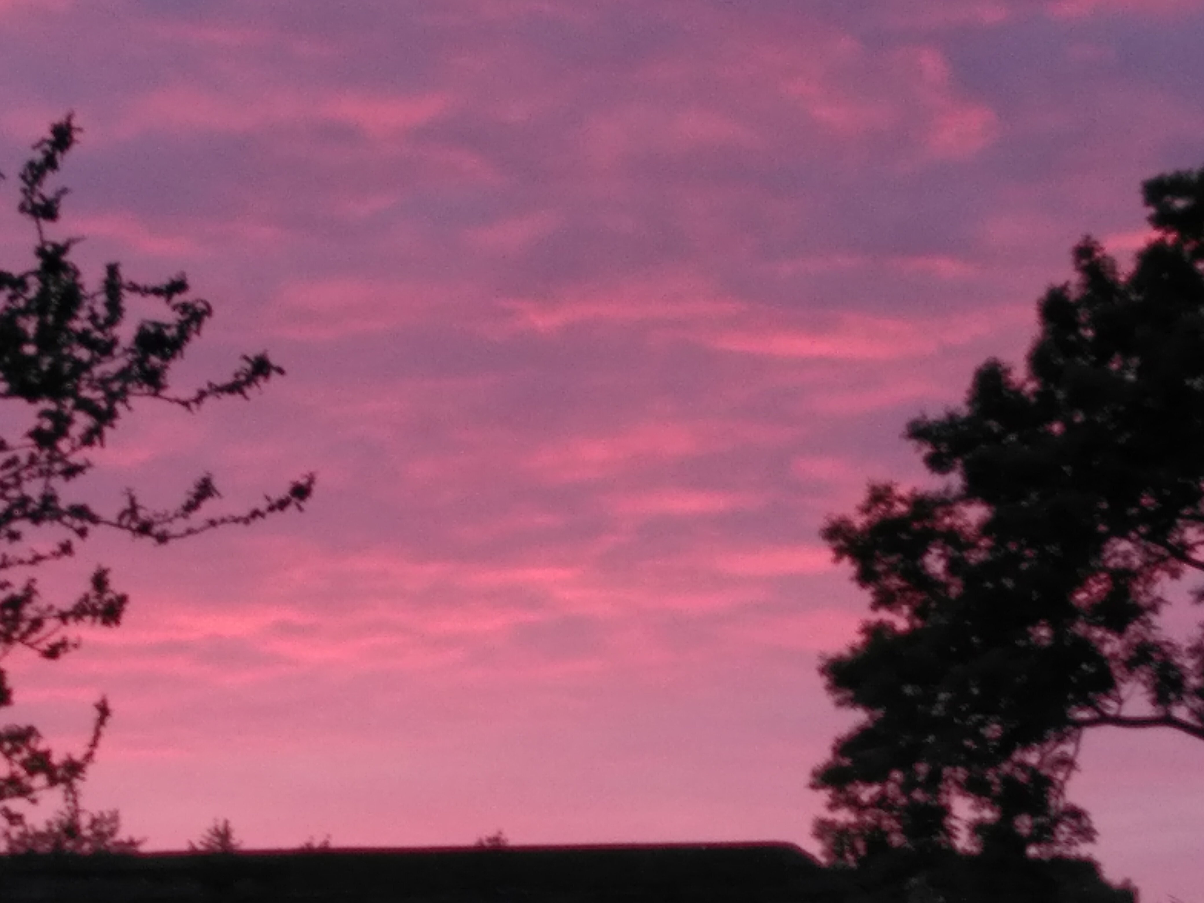 Morgenrot