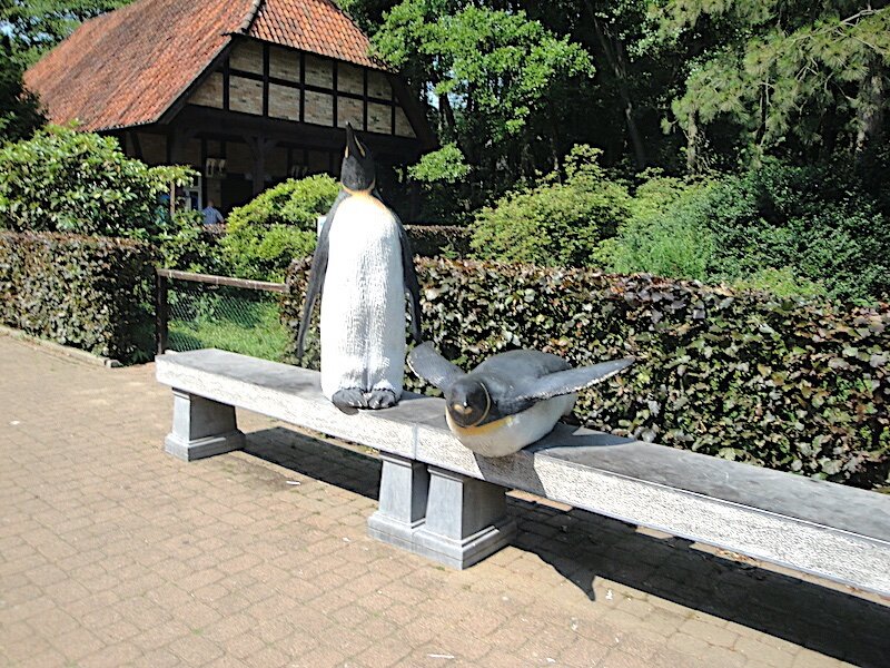 Reserviert für Pinguine