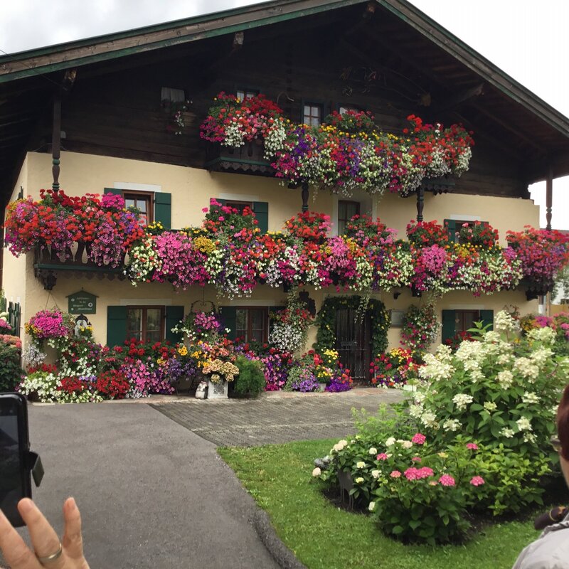 Mehr Informationen zu "Farbenrausch"