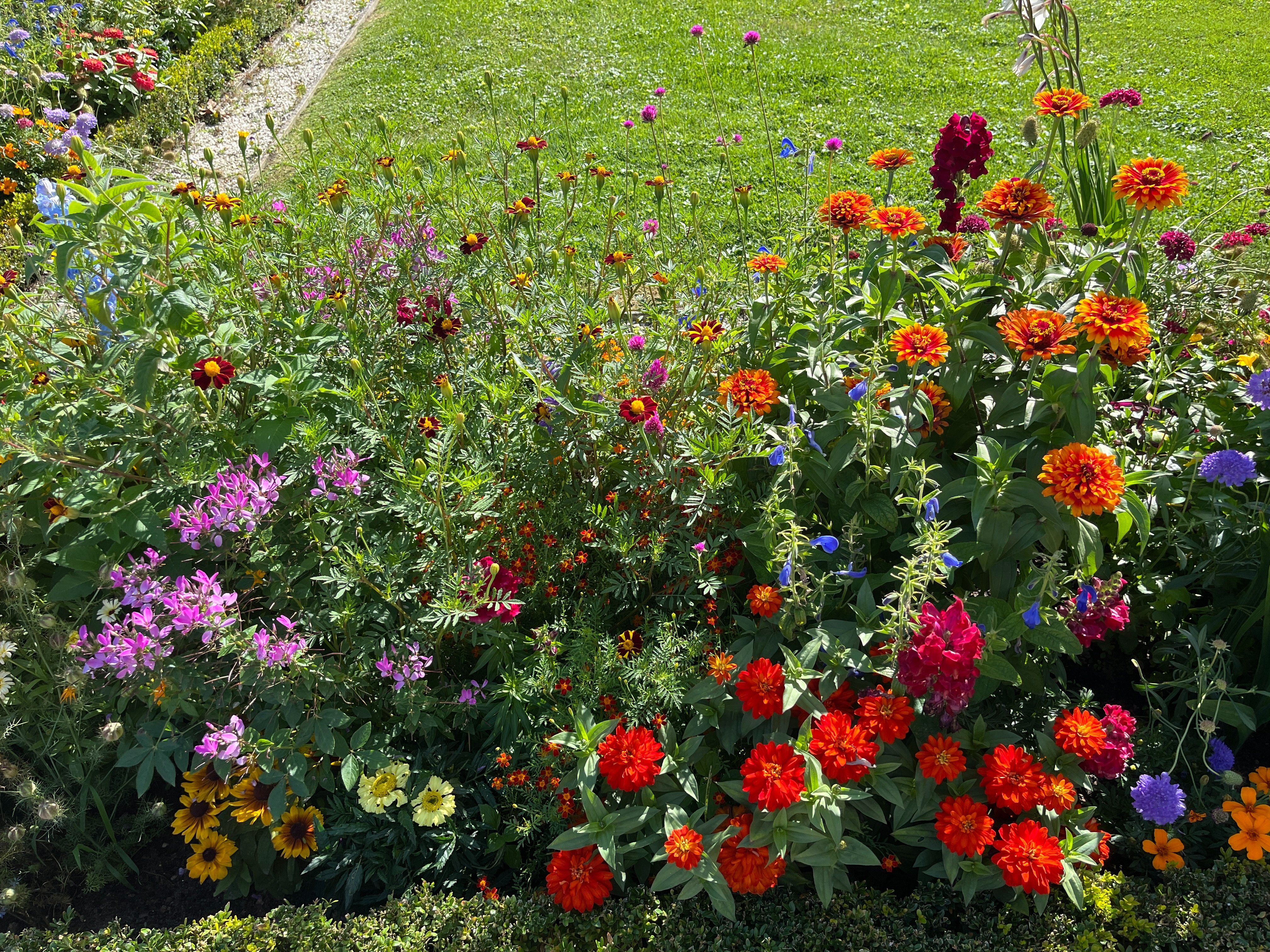 Sommer in Potsdam