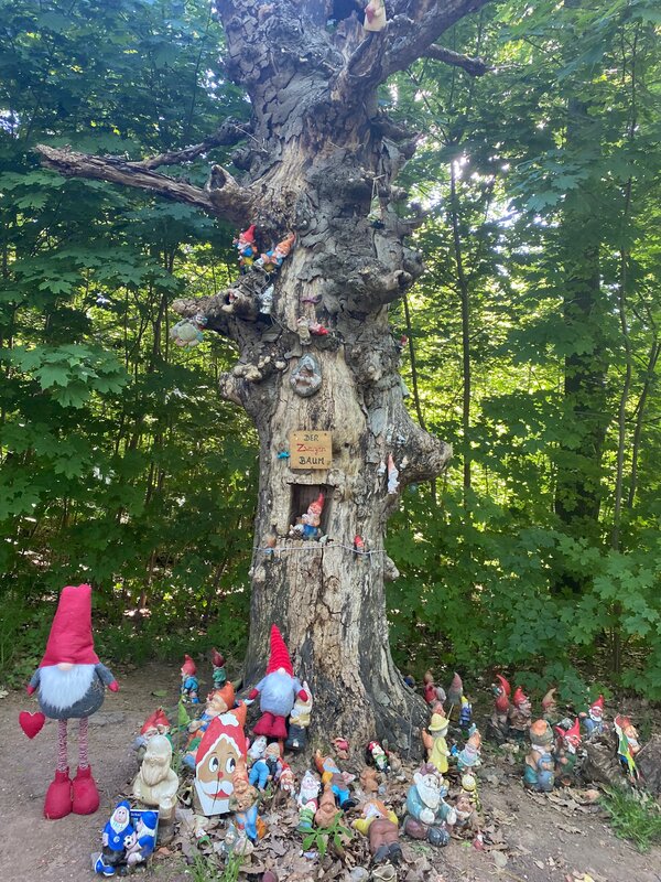 Mehr Informationen zu "Umtriebiges Zwergenvolk im Wald"