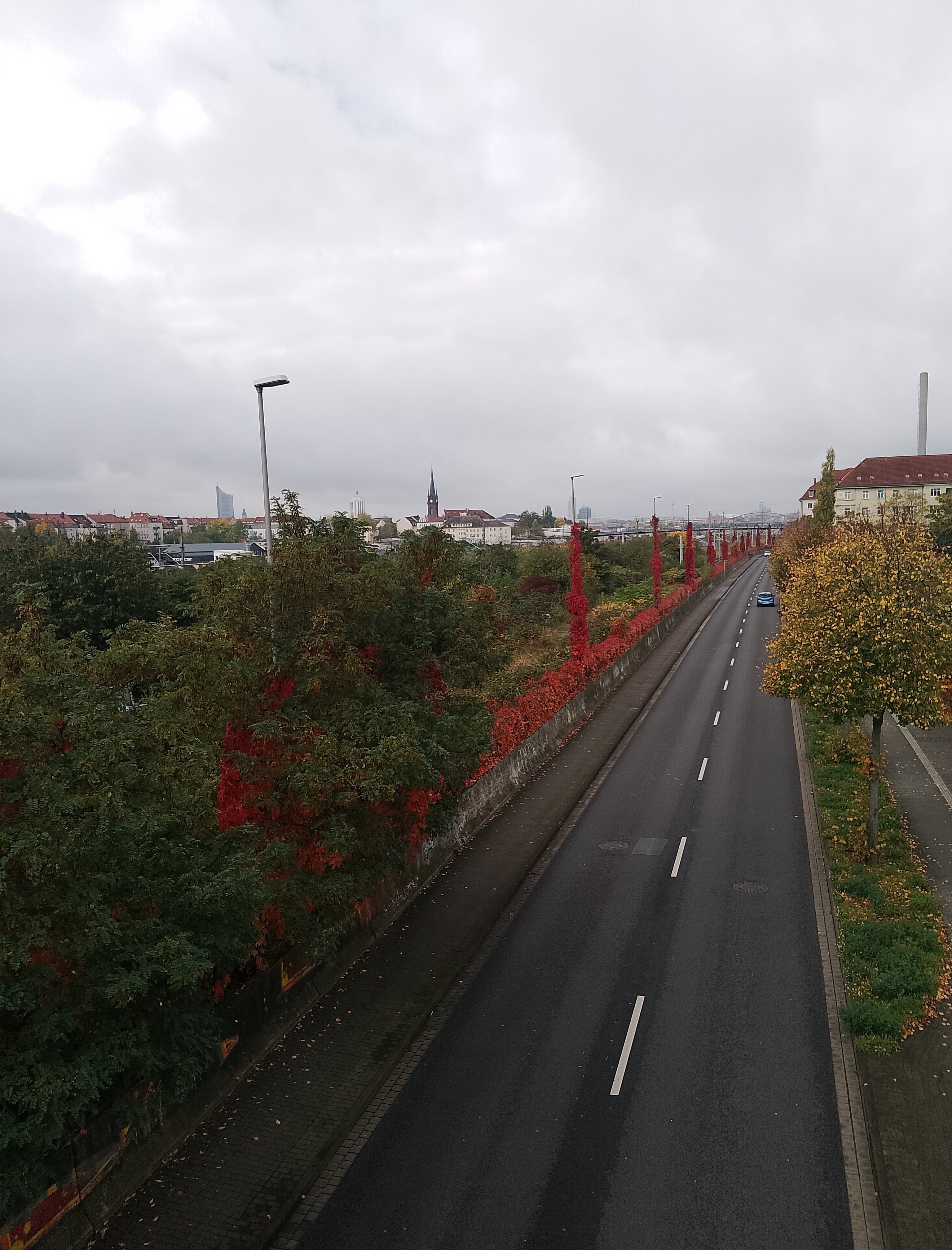 Ranken an Lichtmasten mit Leipziger Silhouette
