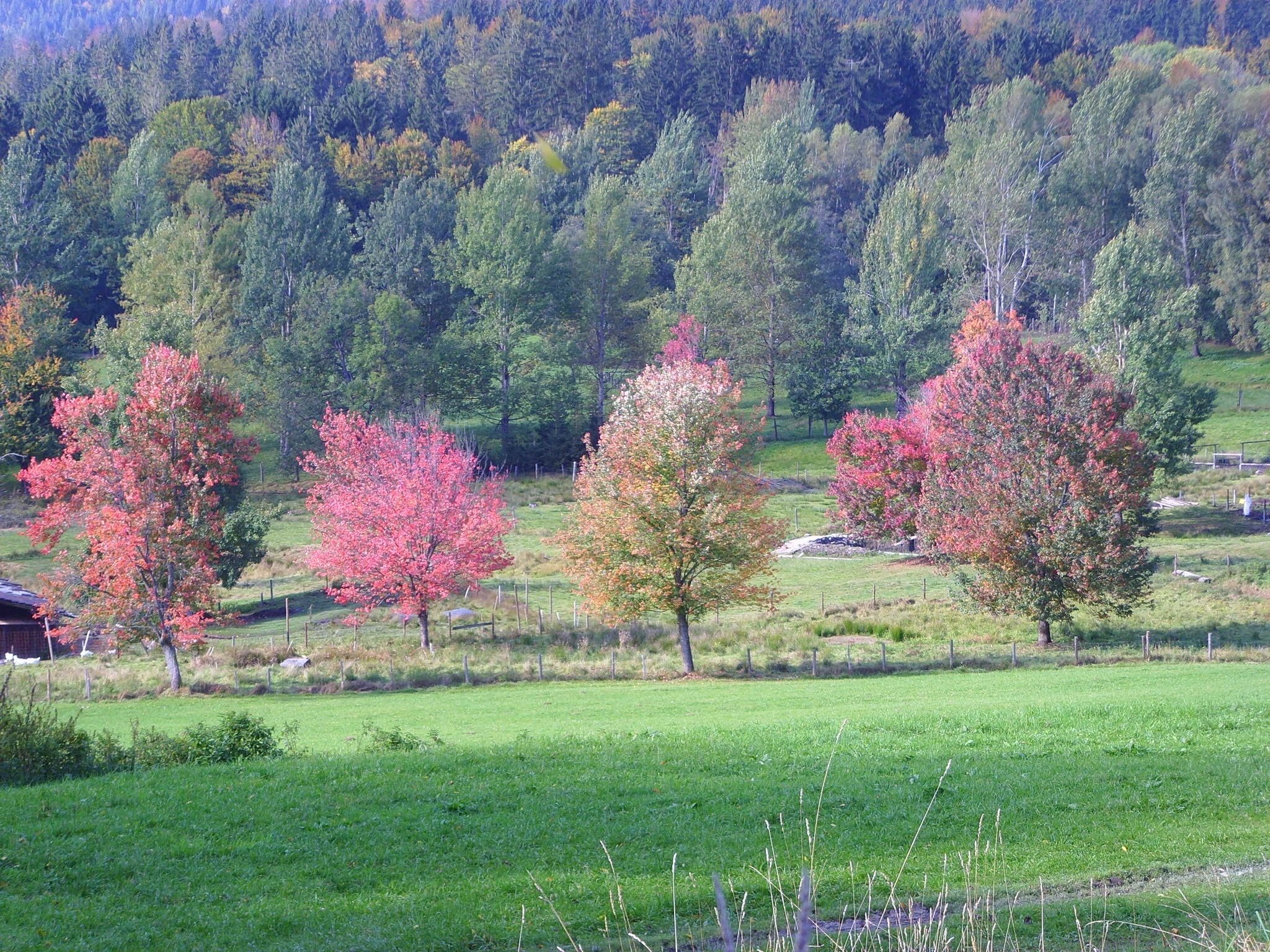Farbenspiel