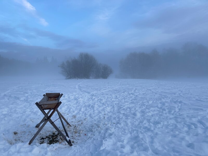 Mehr Informationen zu "Nebeldunst"