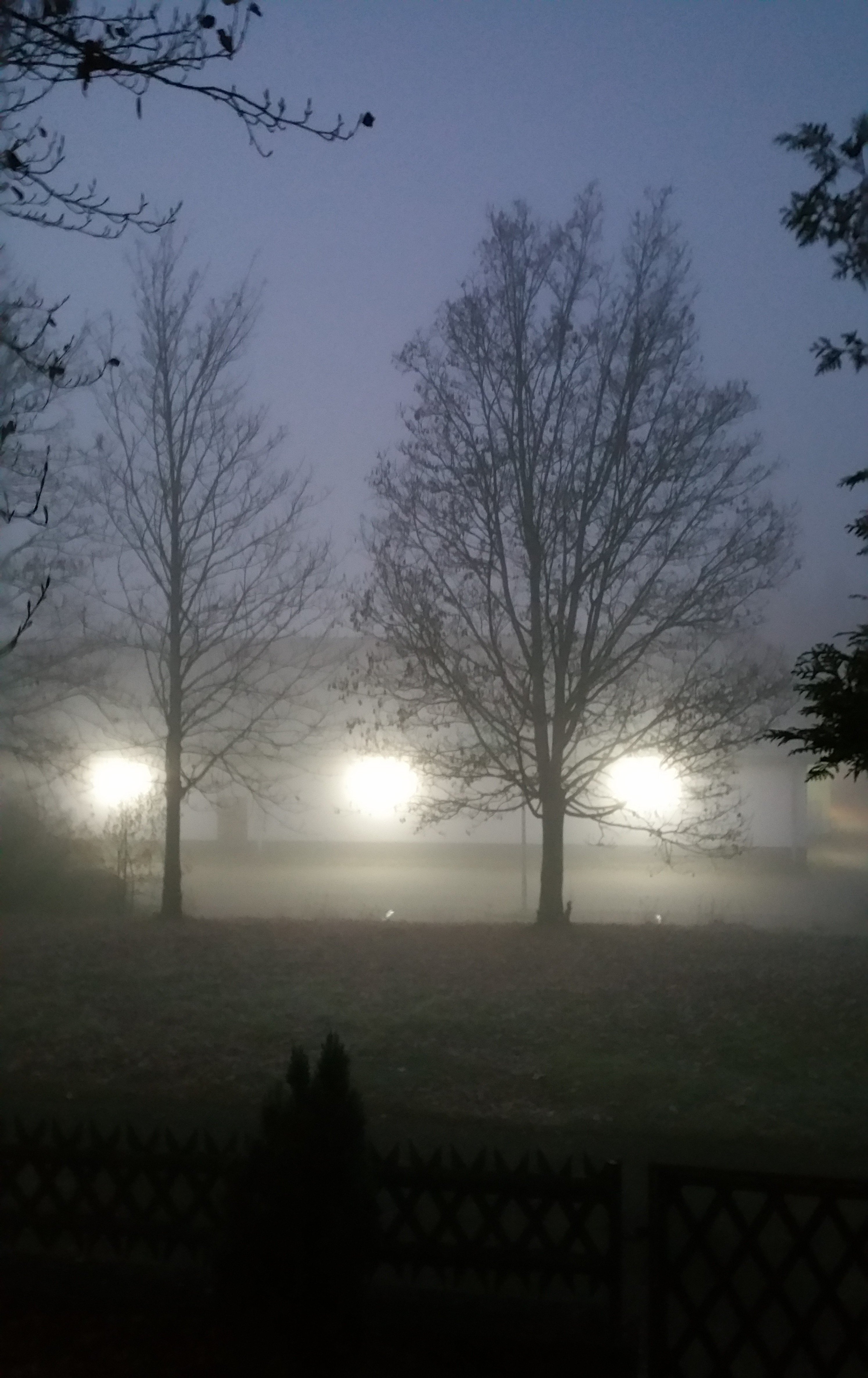 Novembermorgen vor der Haustür