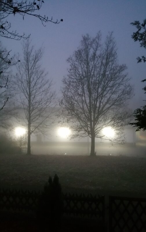 Mehr Informationen zu "Novembermorgen vor der Haustür"