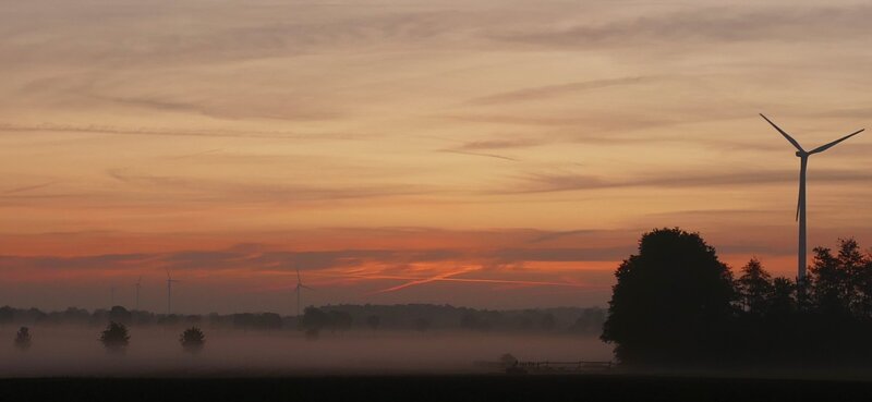 Mehr Informationen zu "Morgennebel !"