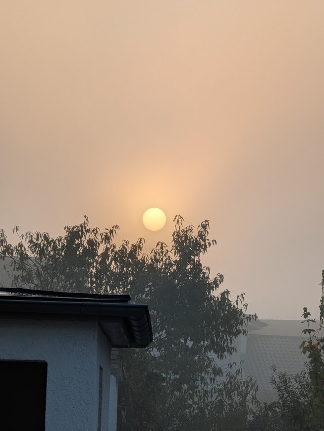 Sonne im Nebel