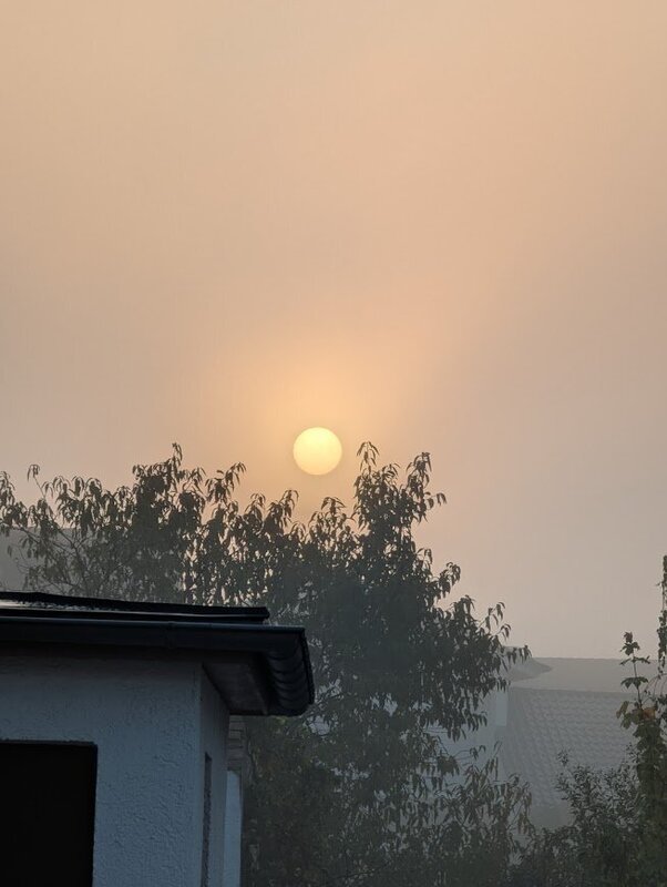Mehr Informationen zu "Sonne im Nebel"