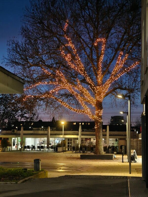 Mehr Informationen zu "Beleuchtung"
