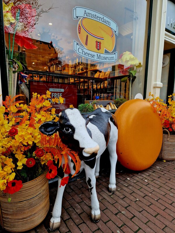 Mehr Informationen zu "Alles Käse!"