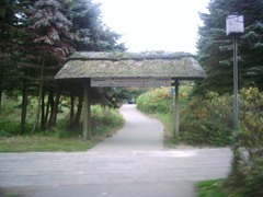 Der Gang vom Deich zur Klinik