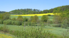 Wanderweg nach Wartenberg