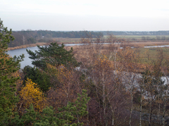 Blick Richtung Bodden