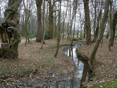 Im Kurpark