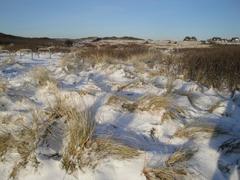 Winterimpressionen 1