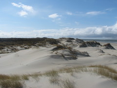 Borkum 017
