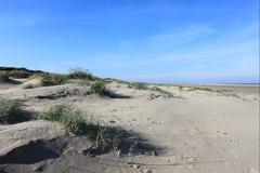 Borkum,die Dünen