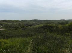 dünen hinter der klinik.JPG