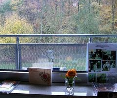 Blick zum Balkon