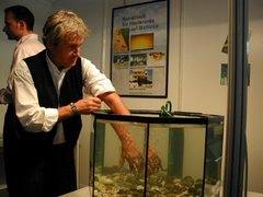 Knabberfische im Einsatz