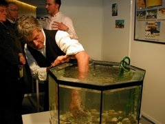 Knabberfische im Einsatz