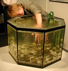 Knabberfische im Einsatz