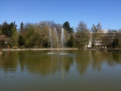 Teich an der Klinik Lahnhöhe