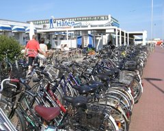 Fahrräber – ein beliebter fahrbarer Untersatz