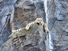 20221030_123457.jpg